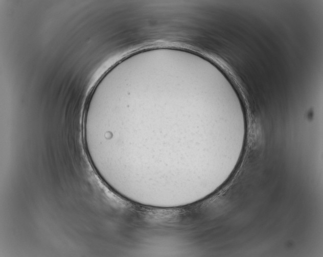 X0000115381294200912011156