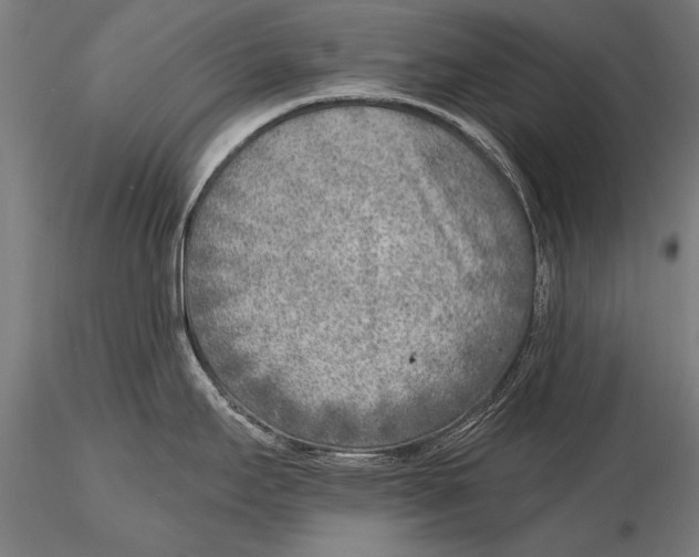 X0000115381295200912011156