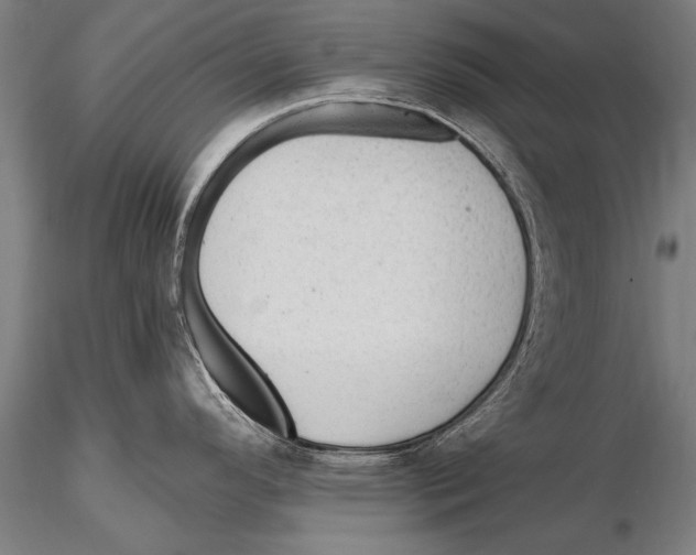 X0000115381296200912011156