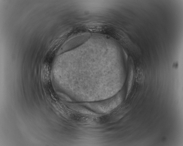 X0000115381298200912011156