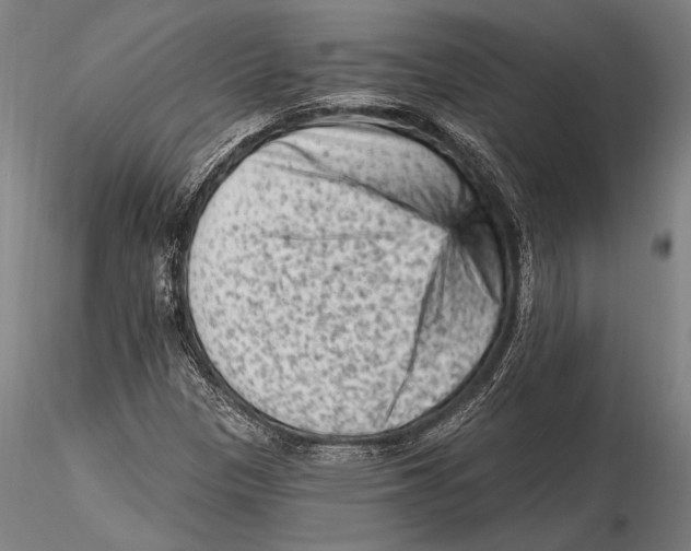 X0000115381305200912011156