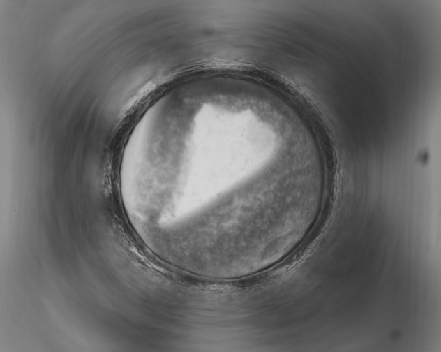 X0000115381306200912011156