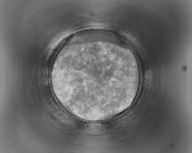 X0000115381310200912011156