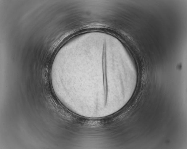 X0000115381313200912011156