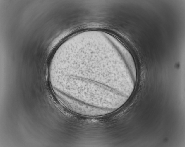 X0000115381317200912011156