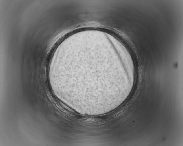 X0000115381318200912011156