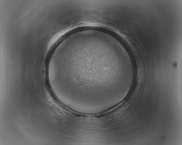 X0000115381319200912011156