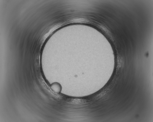 X0000115381322200912011156