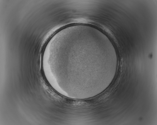 X0000115381323200912011156