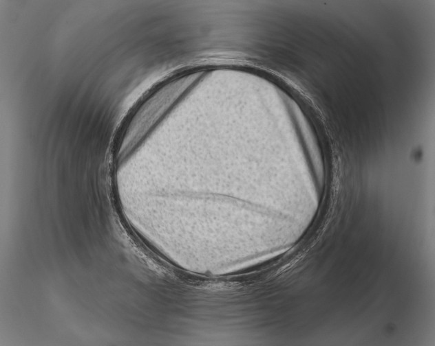 X0000115381325200912011156