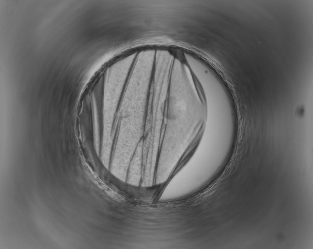 X0000115381326200912011156