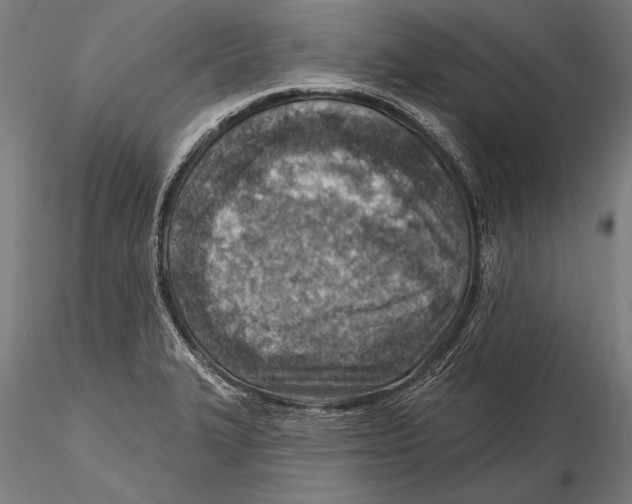 X0000115381327200912011156