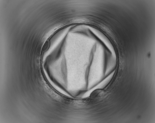 X0000115381330200912011156