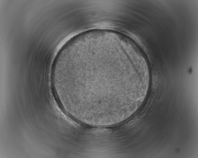 X0000115381331200912011156