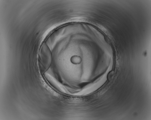 X0000115381334200912011156