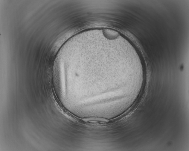 X0000115381337200912011156