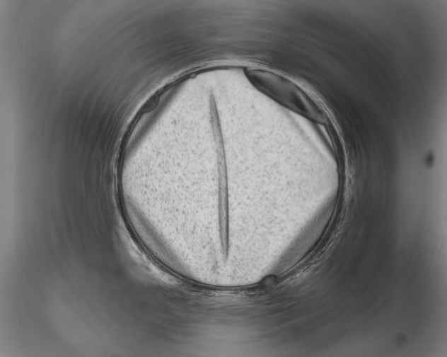 X0000115381341200912011156