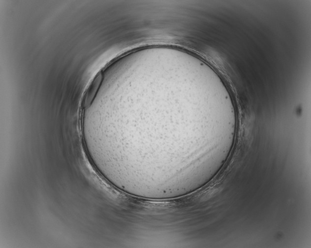 X0000115381342200912011156