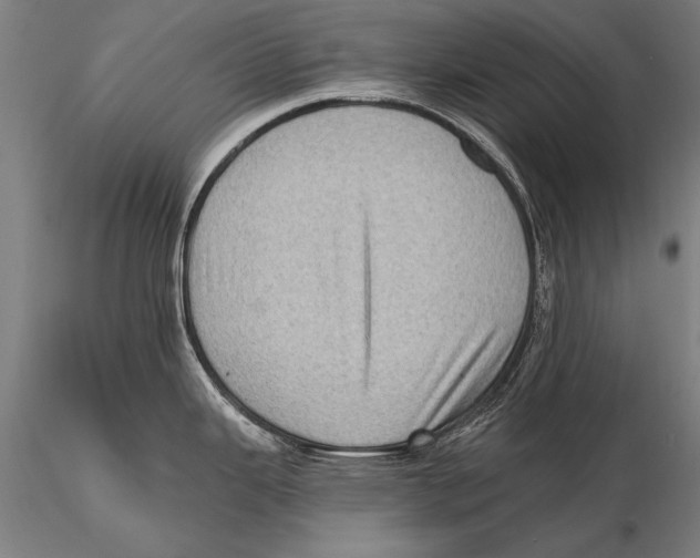 X0000115381343200912011156