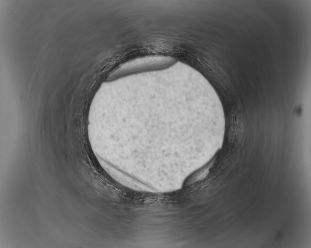 X0000115381345200912011156