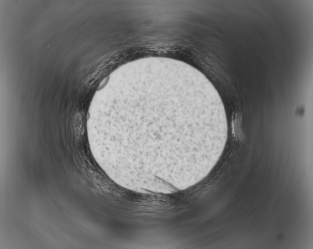 X0000115381347200912011156