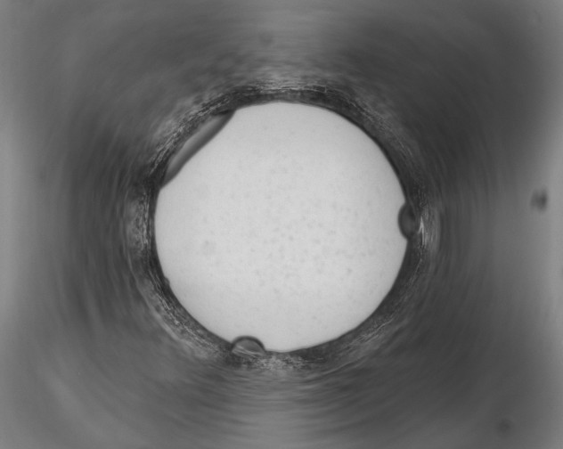 X0000115381348200912011156