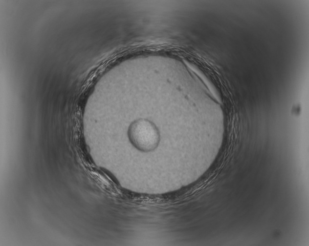 X0000115381349200912011156