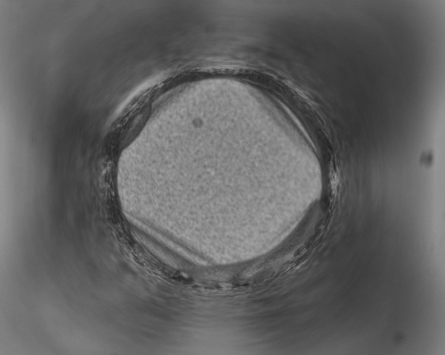 X0000115381351200912011155