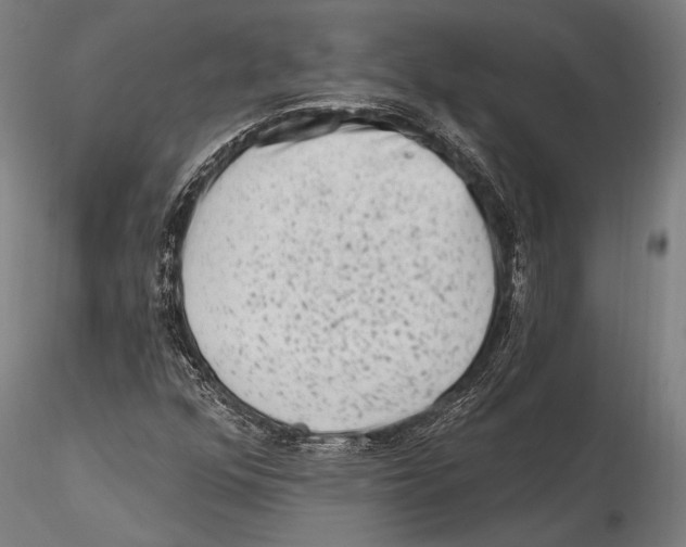 X0000115381352200912011155