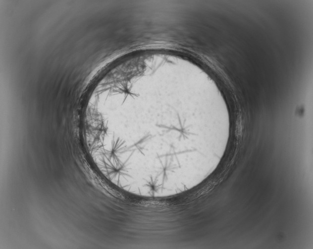 X0000115381356200912011155