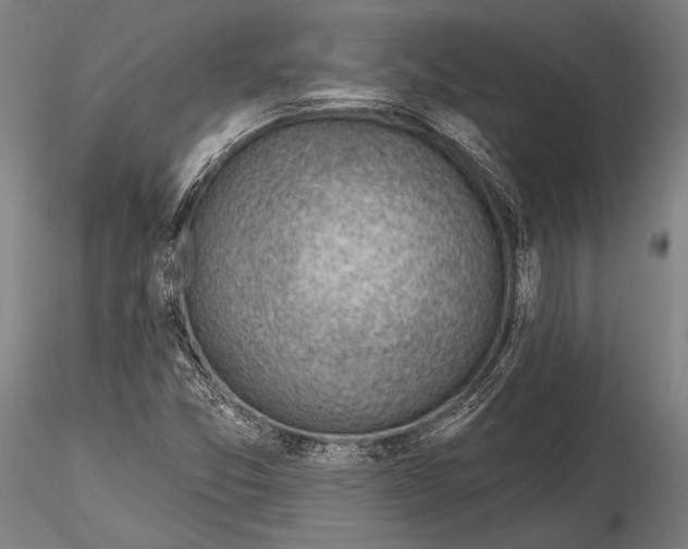 X0000115381357200912011155