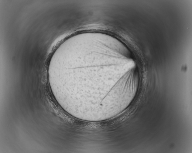 X0000115381358200912011155