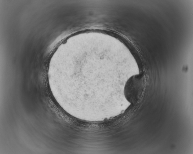 X0000115381359200912011155