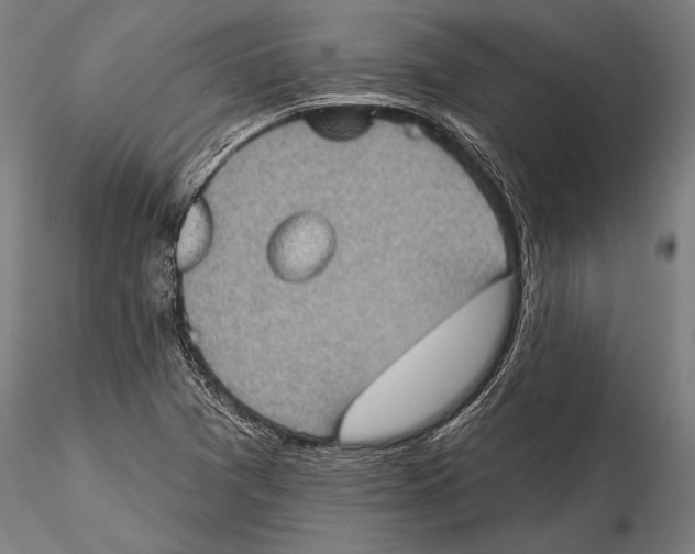 X0000115381361200912011155