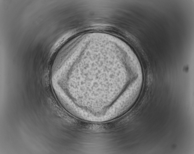 X0000115381362200912011155