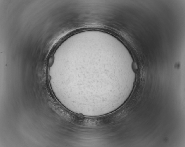 X0000115381364200912011155