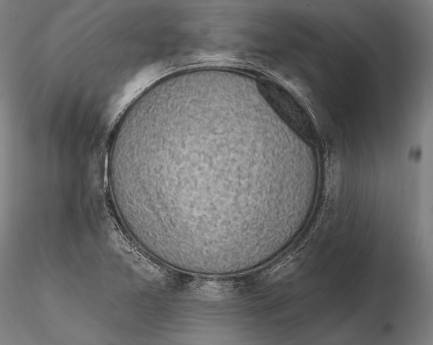 X0000115381365200912011155