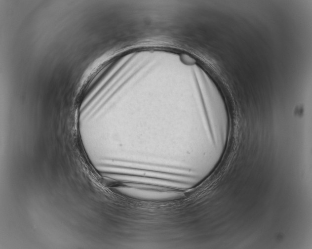 X0000115381366200912011155