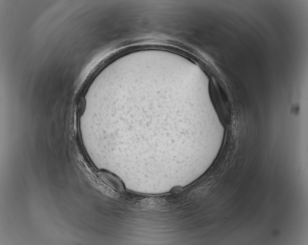 X0000115381368200912011155