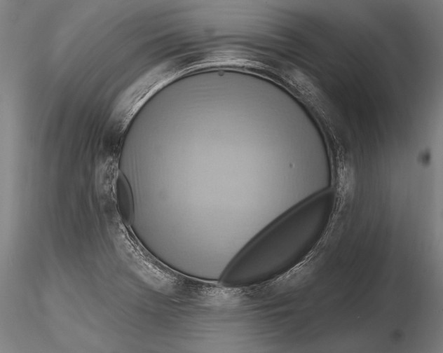 X0000115381369200912011155