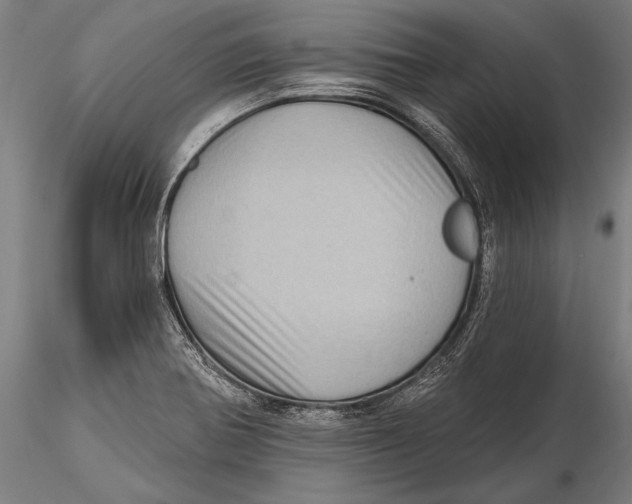 X0000115381370200912011155