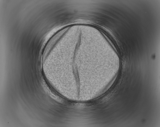 X0000115381371200912011155