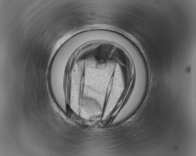 X0000115381373200912011155