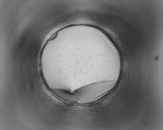 X0000115381374200912011155