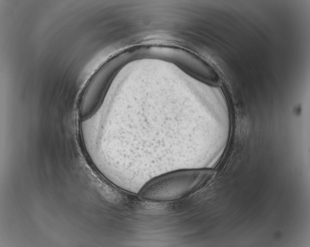 X0000115381376200912011155