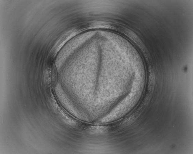 X0000115381377200912011155