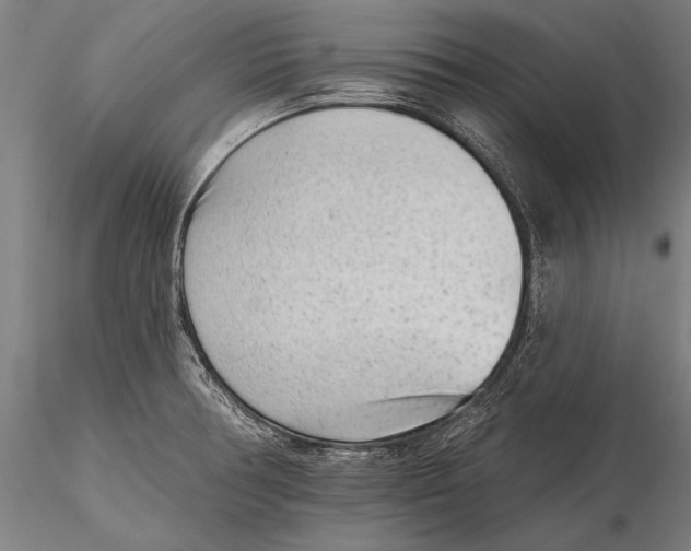 X0000115381378200912011155