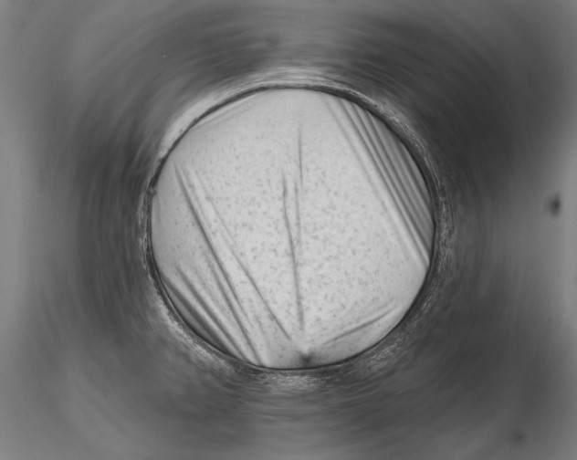 X0000115381382200912011155