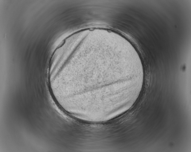 X0000115381383200912011155