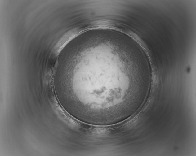 X0000115381385200912011155